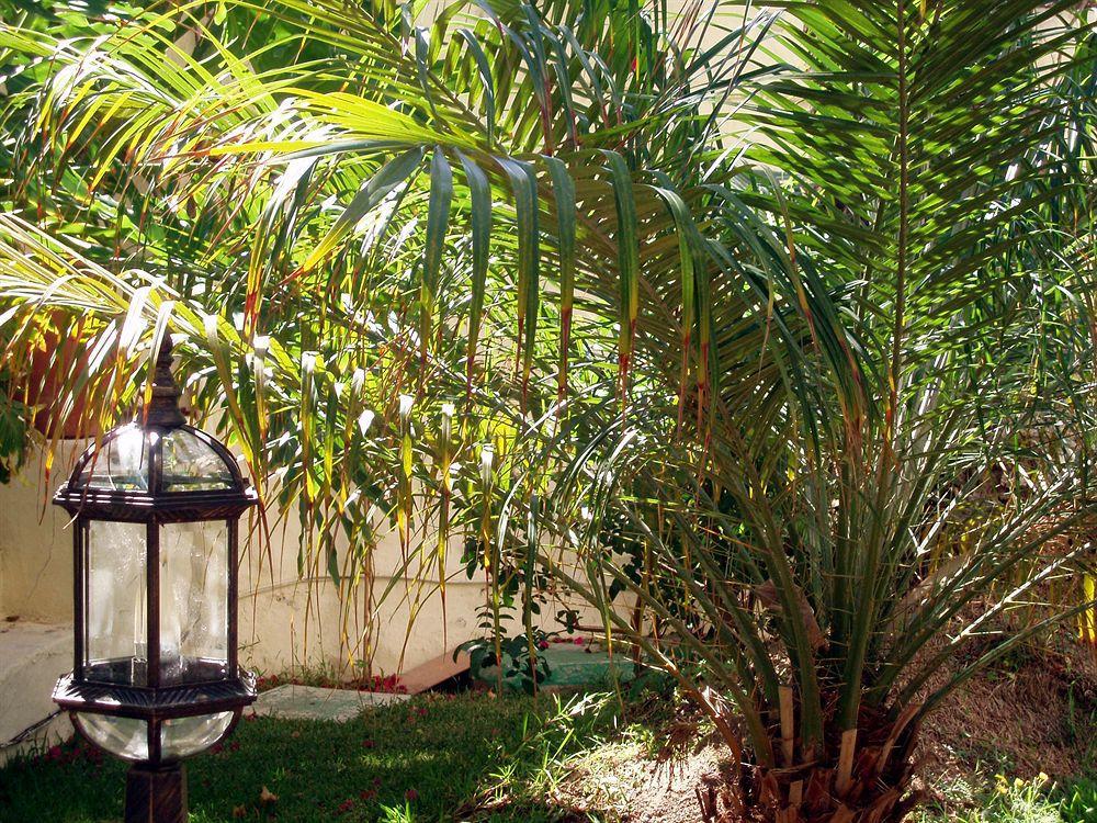 Alsol Nogal (Adults Only) Apartamento Playa del Inglés Exterior foto