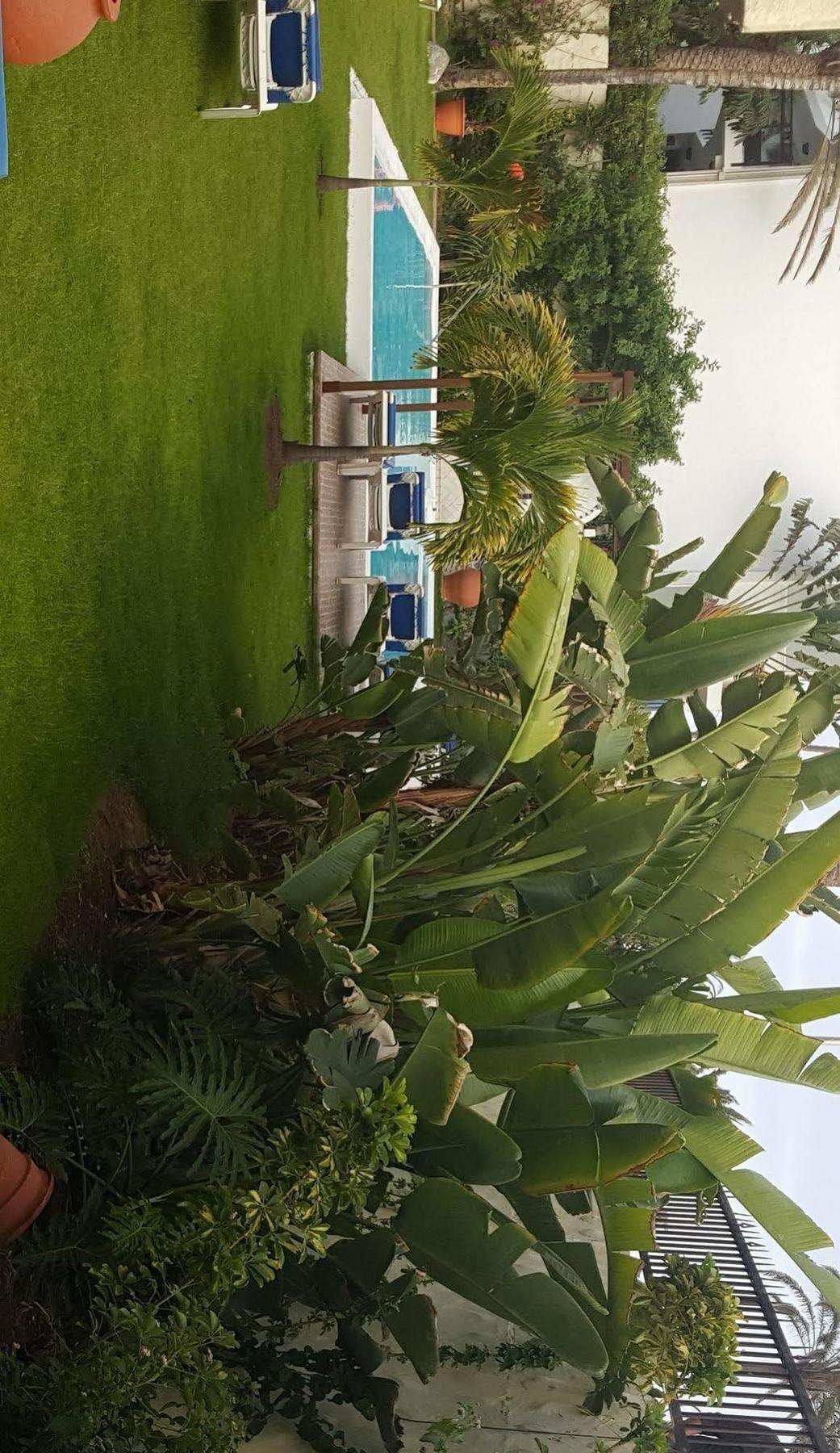 Alsol Nogal (Adults Only) Apartamento Playa del Inglés Exterior foto